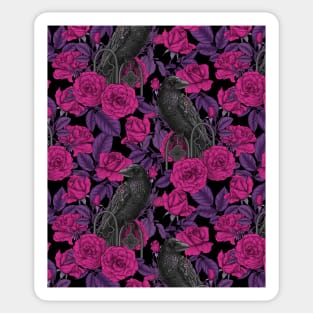 Ravens and magenta roses Sticker